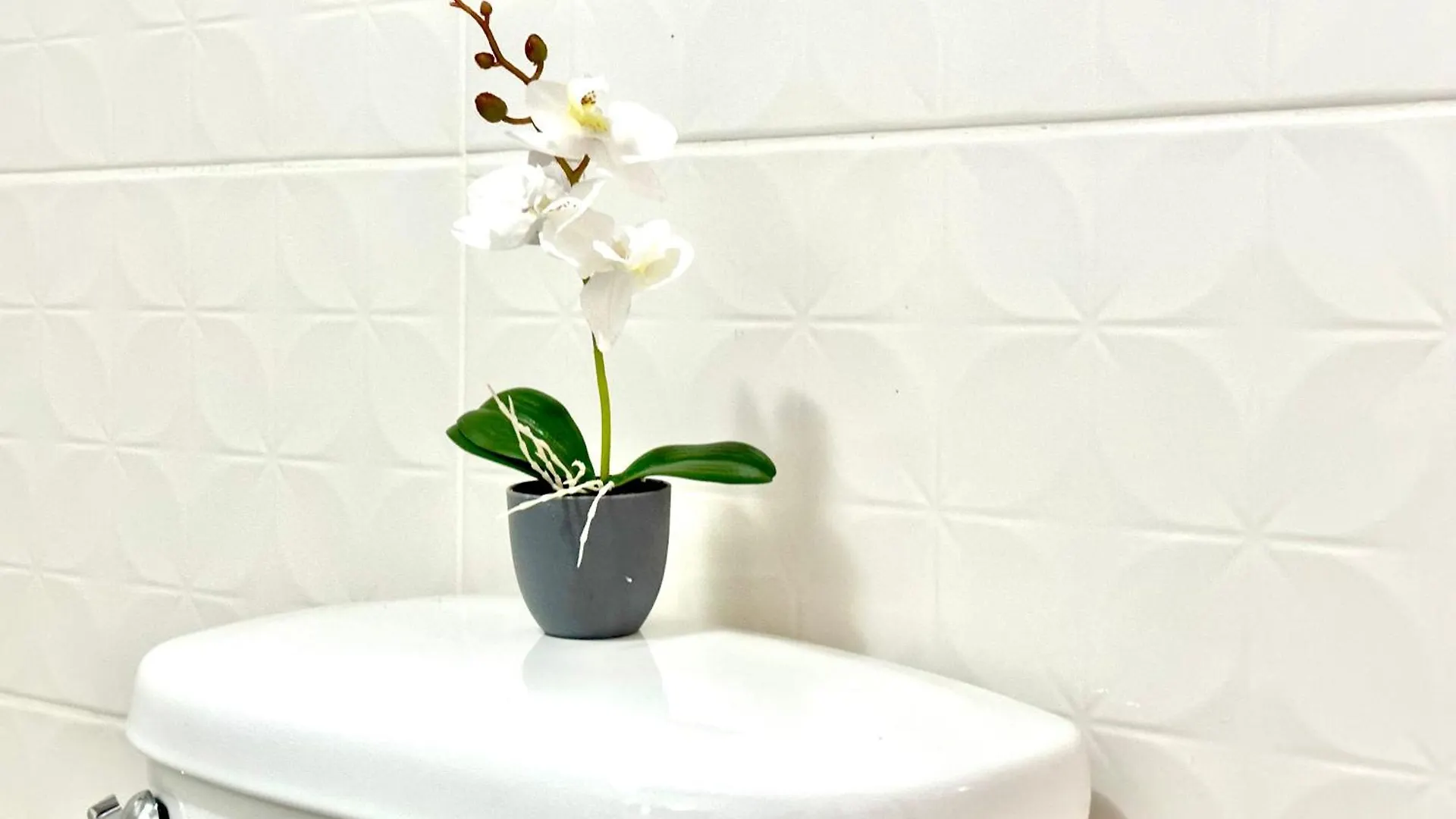 Apartamento Villa Olimpica Estudio Santiago De Los Caballeros